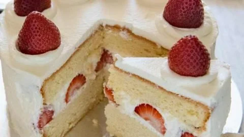Japanese Strawberry Shortcake with fresh strawberries and whipped cream